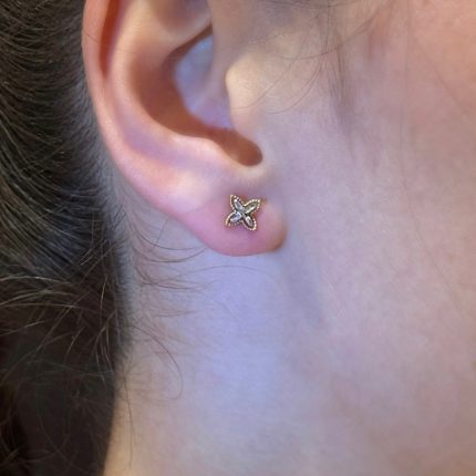 Orecchini Ambrosia Oro Bianco e Giallo 18 kt