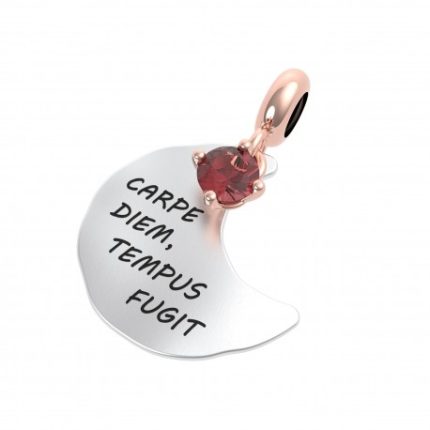 Charm Donna Rerum Musa