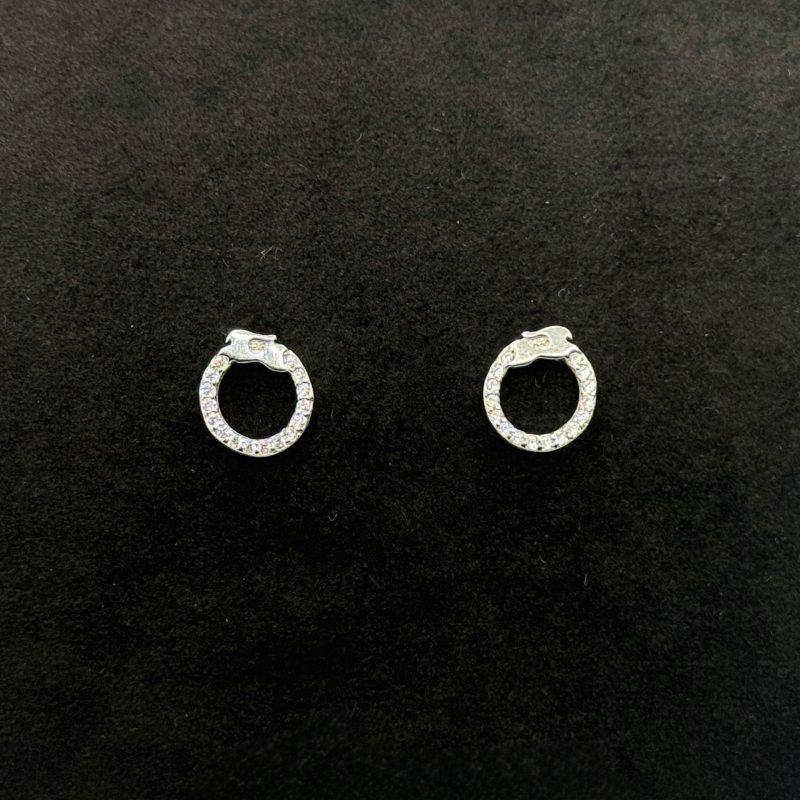 IMG_2352 (1) Orecchini Cerchietto Argento 925 Swarovski