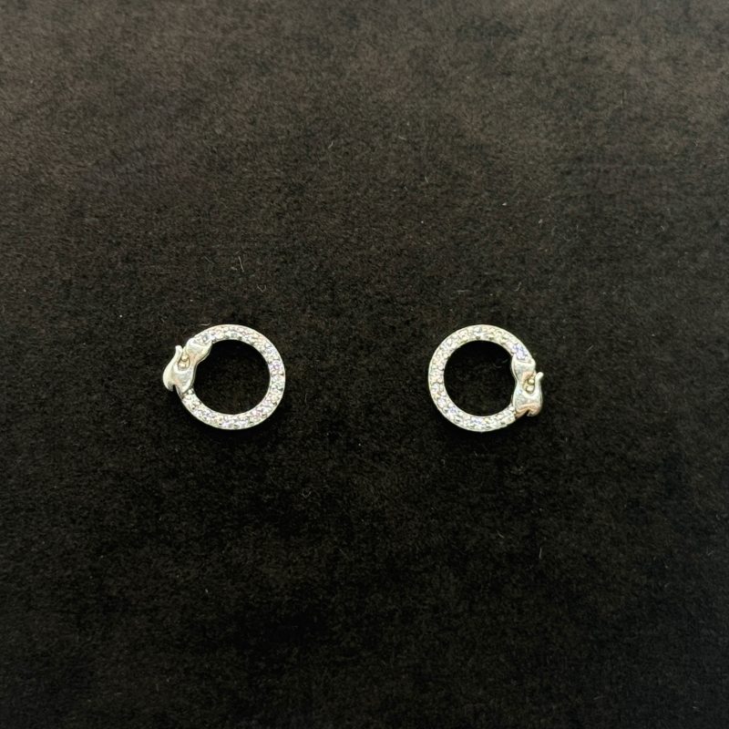 IMG_2353 (1) Orecchini Cerchietto Argento 925 Swarovski