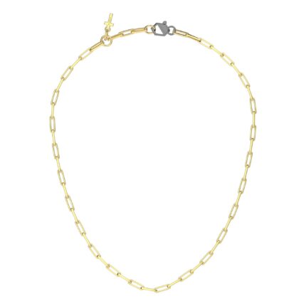 Collana Richmond in Titanio